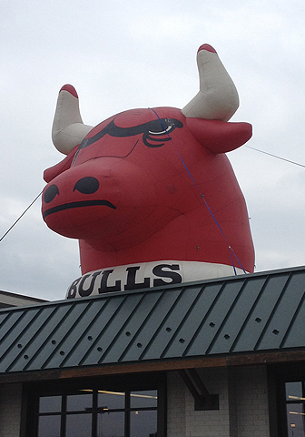 The Bulls Logo Shape, Special Event, Outdoor Advertising Balloon